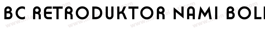 BC Retroduktor NAMI Bold Reversed字体转换